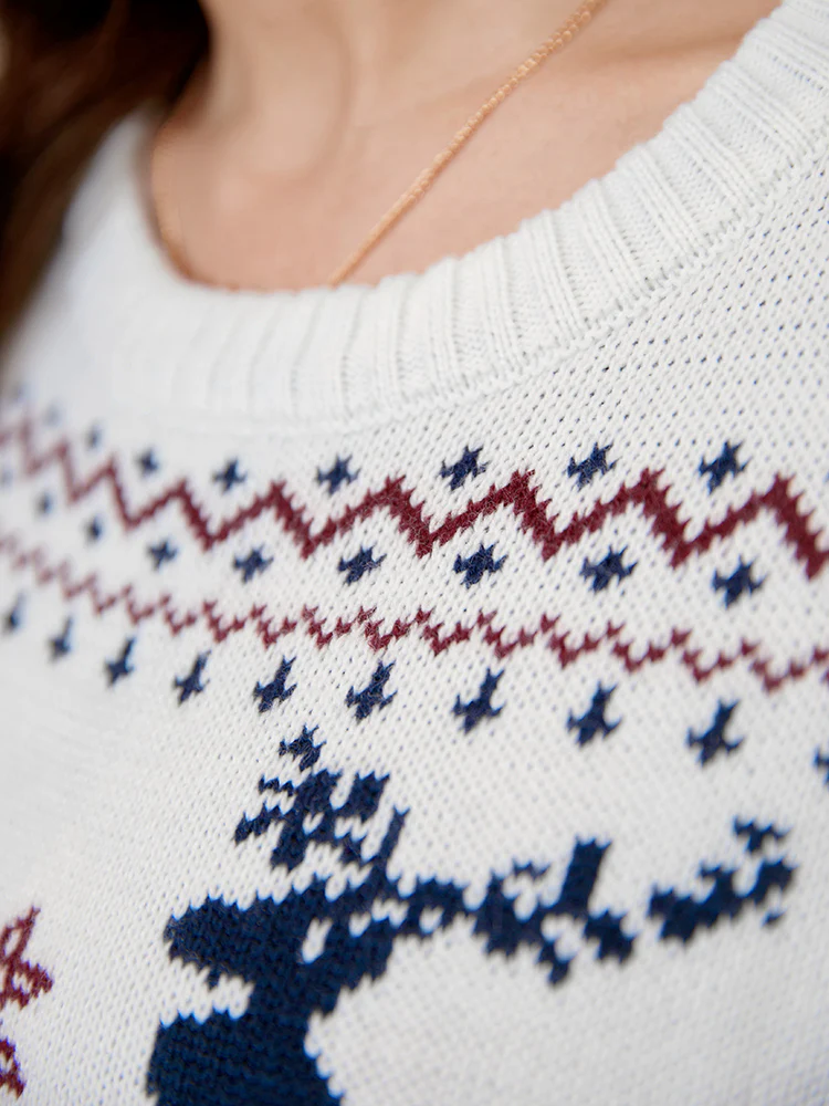 Elk & Snowflake Pointelle Knit Round Neck Knit Top - Image 6