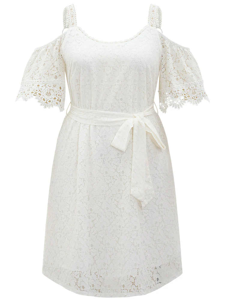 Lace Panel Belted Cold Shoulder Flutter Sleeve Dress - Image 12