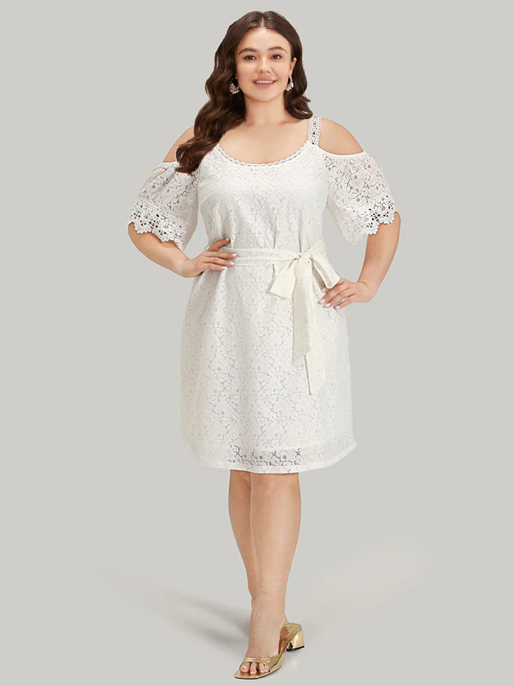 Lace Panel Belted Cold Shoulder Flutter Sleeve Dress - Image 6
