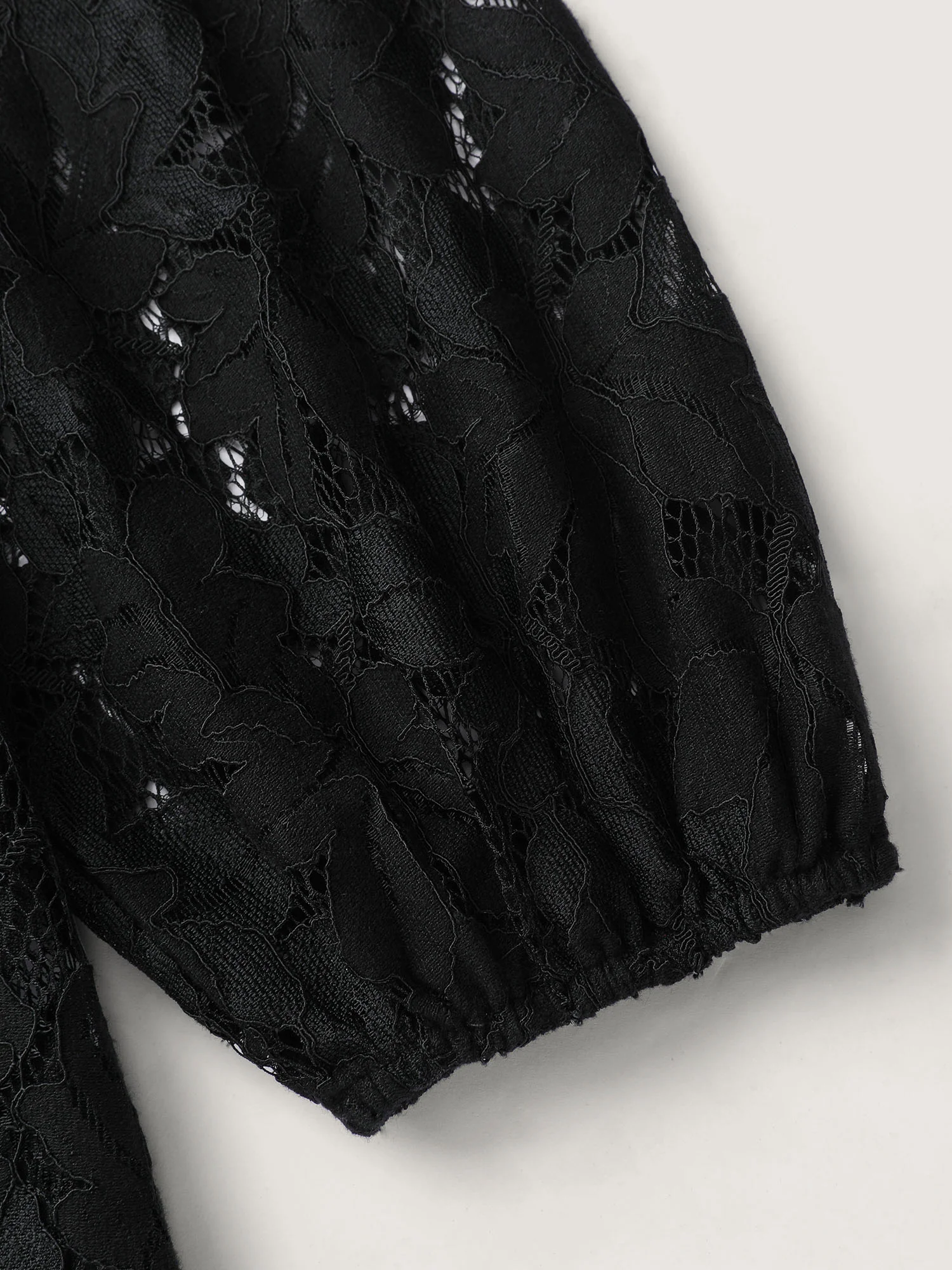 Lace Trim Sheer Ruffled Collar Button Shirt - Image 6