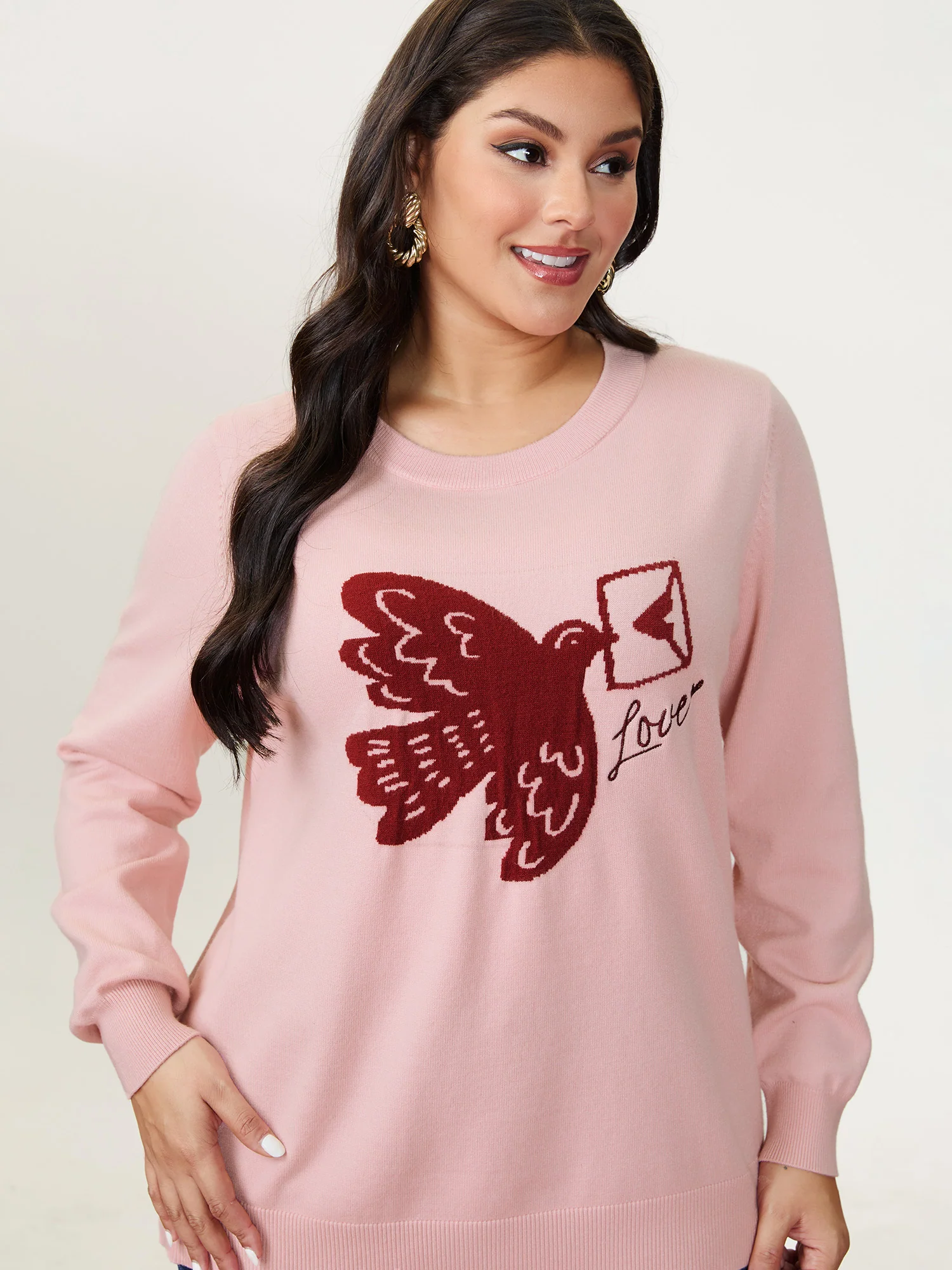 Romantic Pigeon Jacquard Pattern Pullover - Image 3