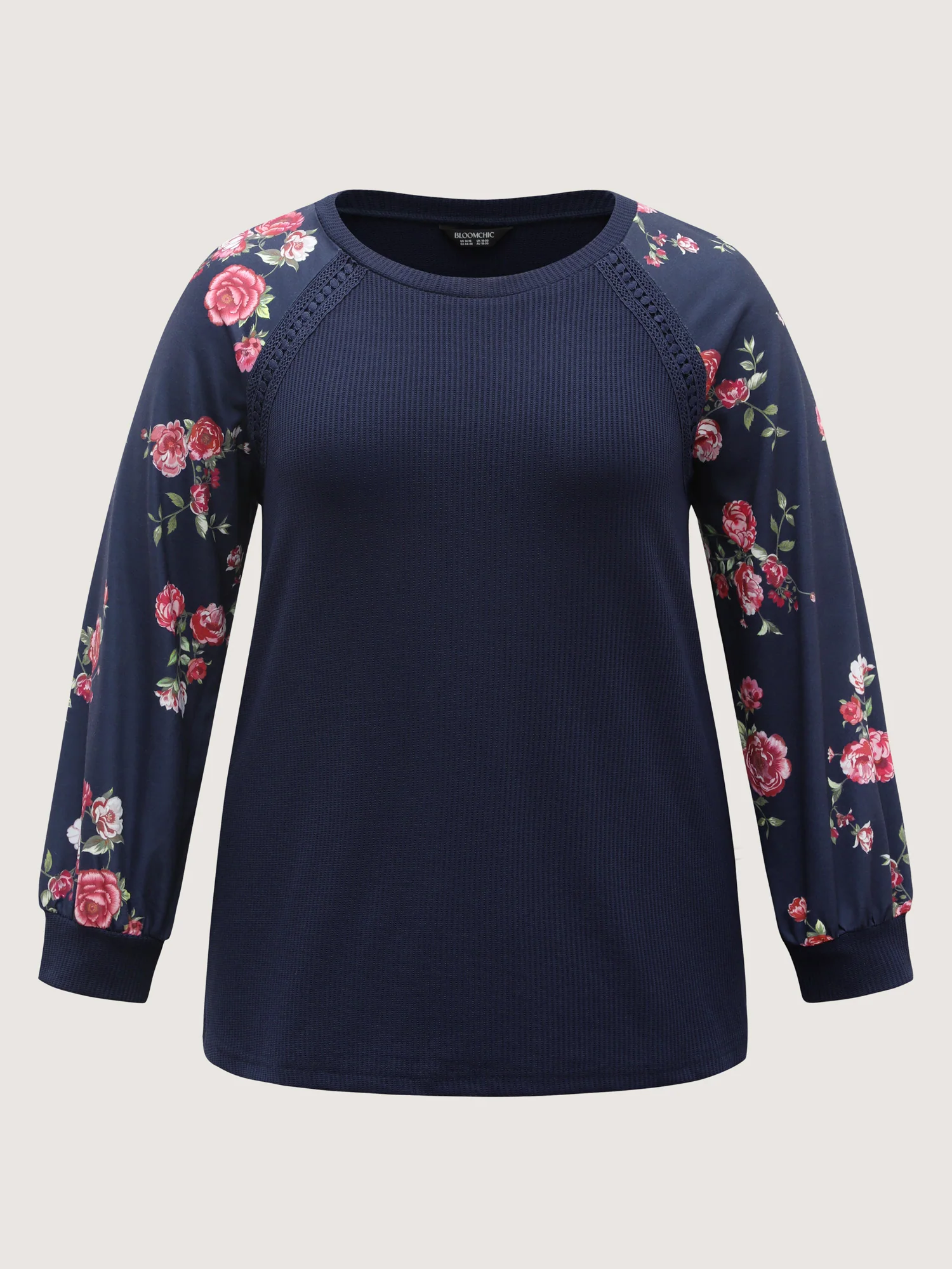 Rosy Sleeve Textured Lace Solid Sweatshirt - Image 7
