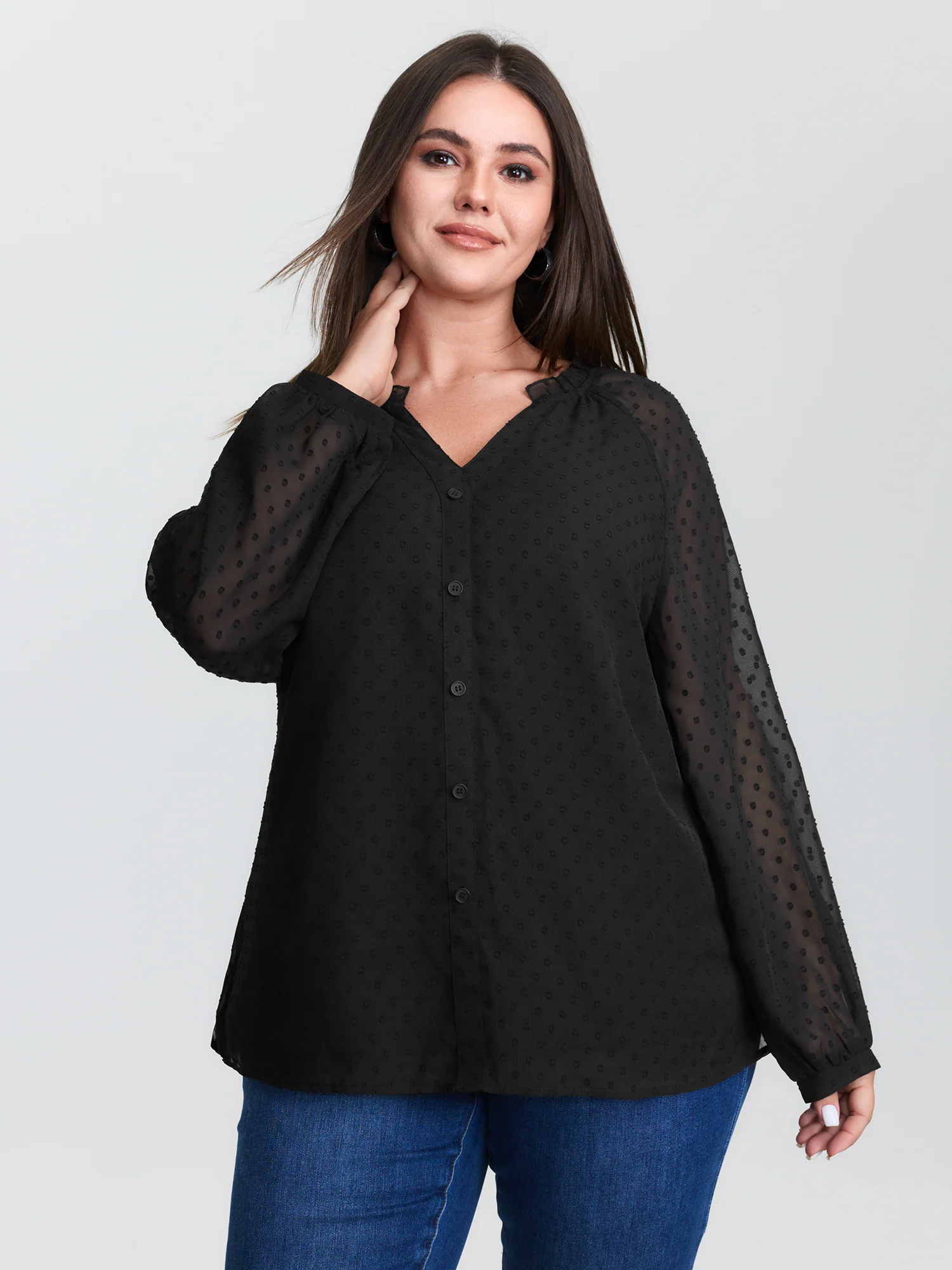 Sheer Textured Sleeve Ruffled Neckline Blouse