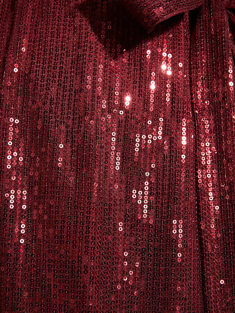 Solid Square Neck Lantern Sleeve Belted Sequin Dress - Image 6