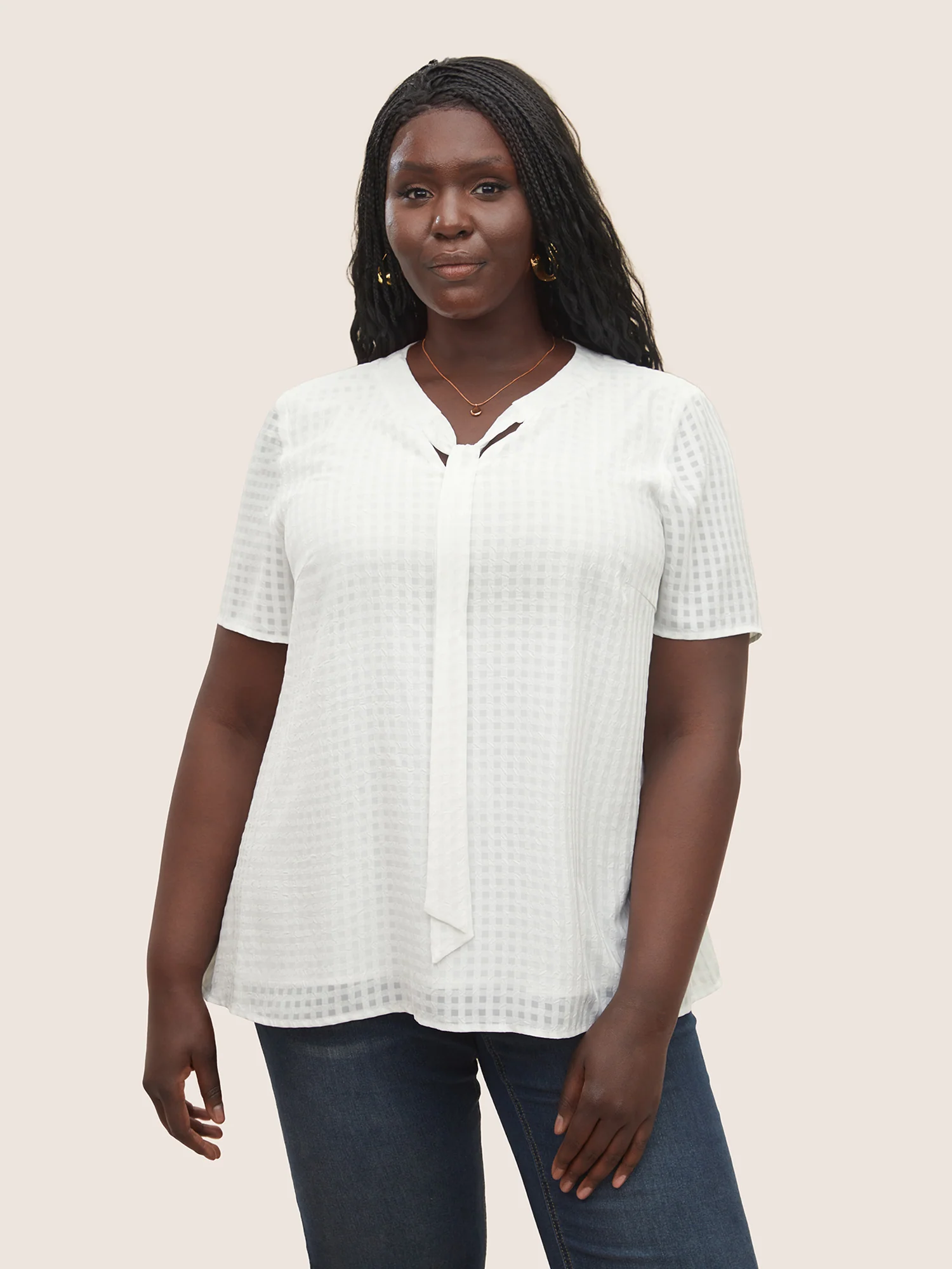 Solid Textured Chiffon Mesh Tie Neck Blouse