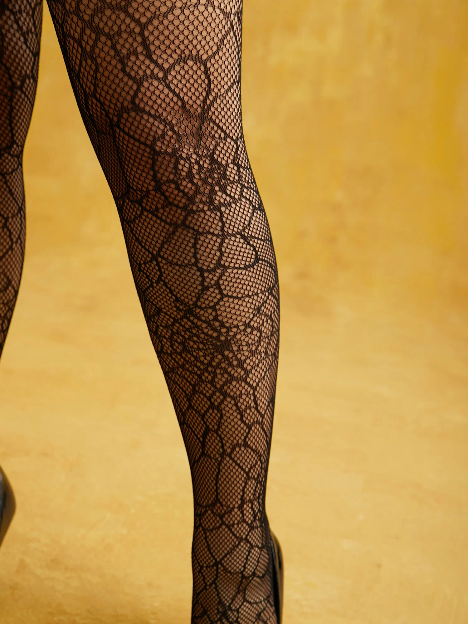 Spider Web Net Stockings - Image 3