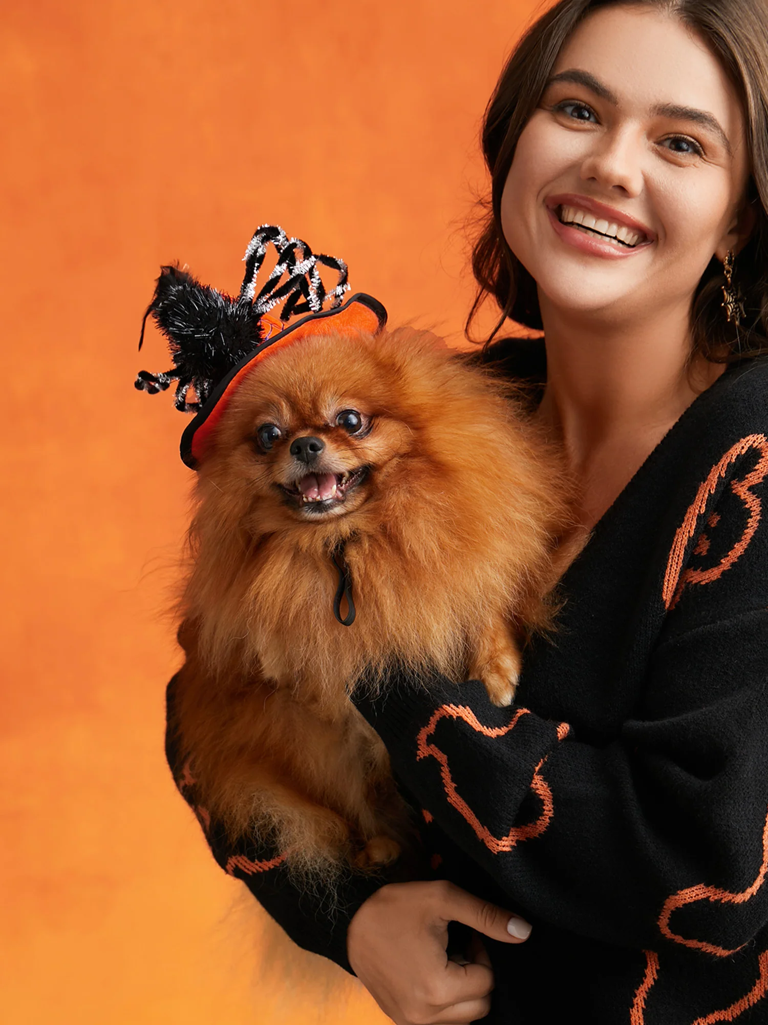 Spider Witch Hat for Pets - Image 3