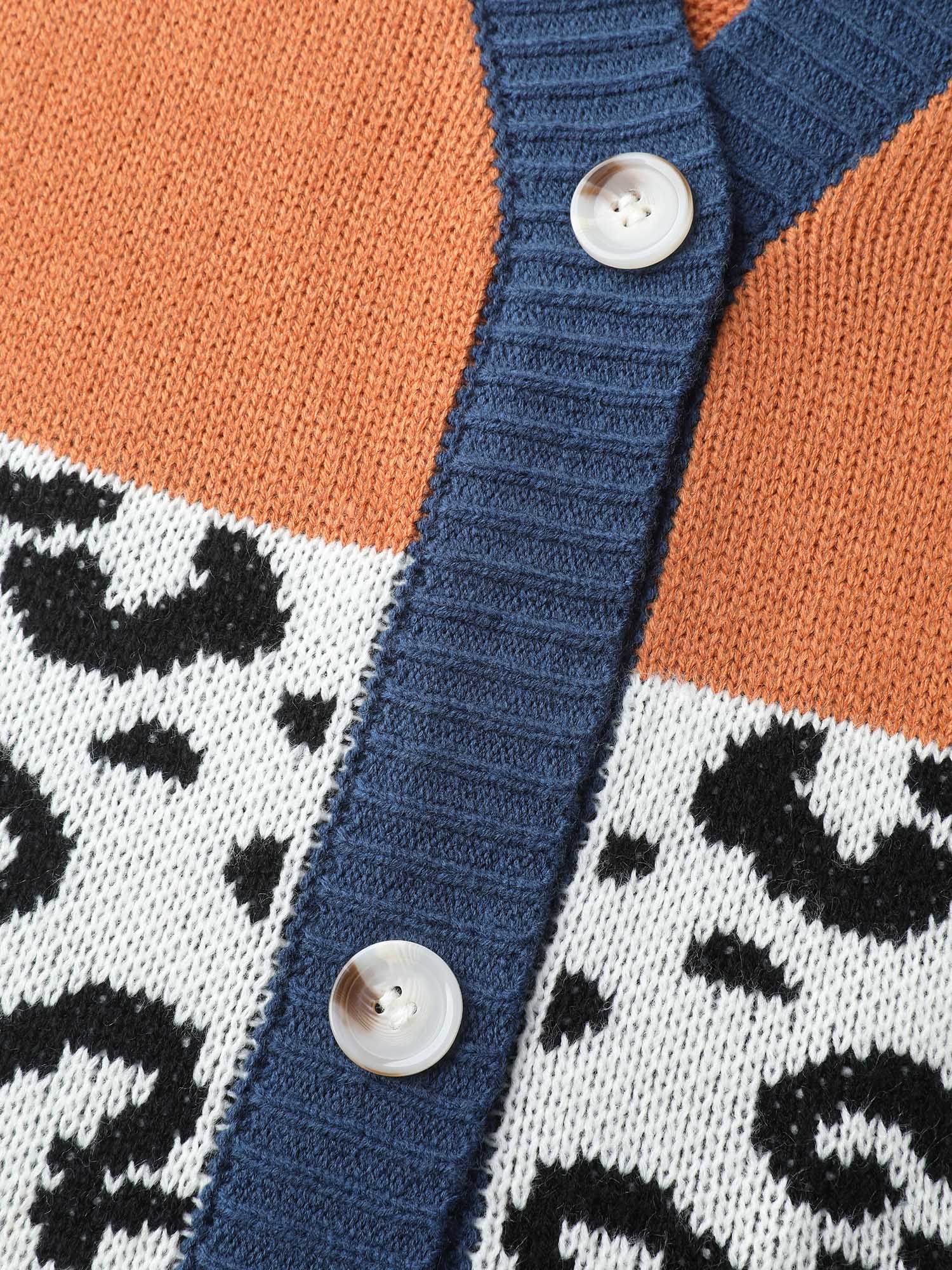 Stripe Color Block Leopard Knit Cardigan - Image 6