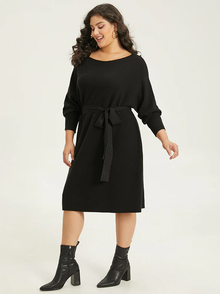 Supersoft Essentials Boat Neck Belted Sweater Dress - Image 4