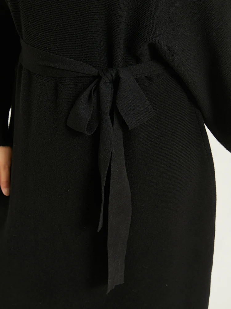 Supersoft Essentials Boat Neck Belted Sweater Dress - Image 6