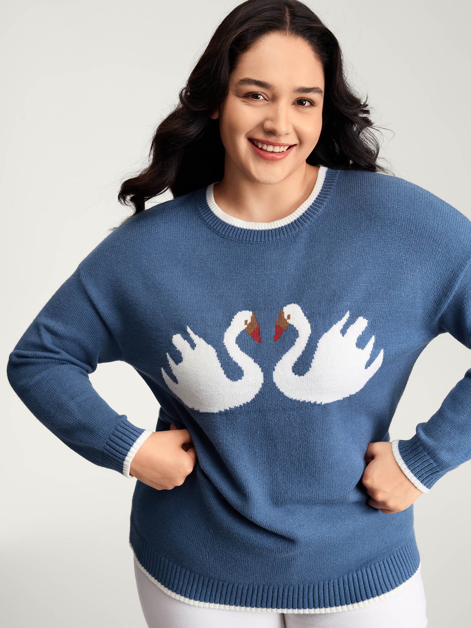 Swan Jacquard Pattern Color Contrast Pullover